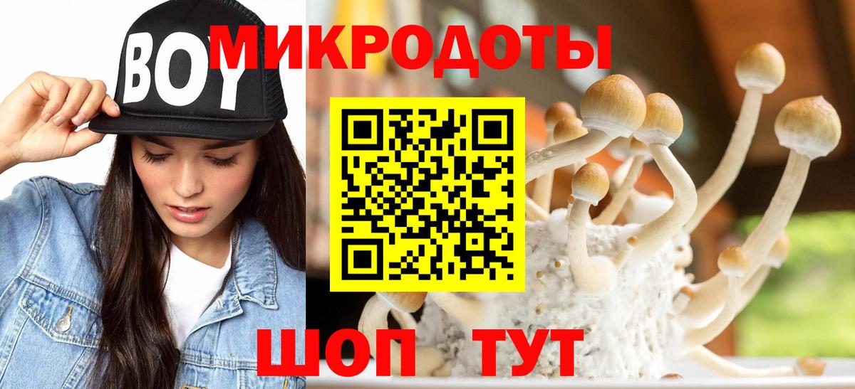 Псилоцибиновые грибы MAGIC MUSHROOMS Ейск
