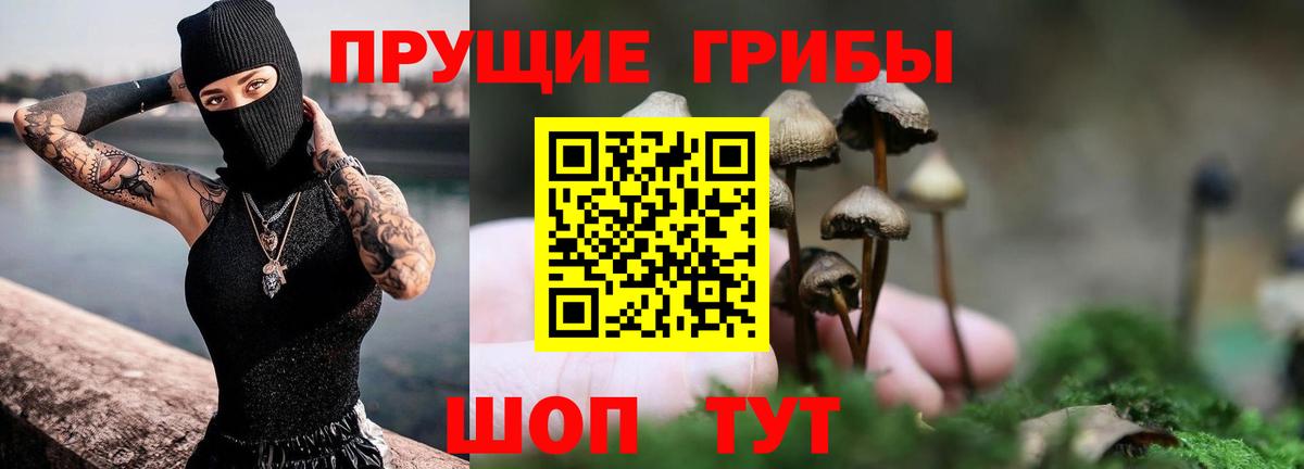 Псилоцибиновые грибы Psilocybe  Галлюциногенные грибы мухоморы  купить наркоту  Вход с VPN  Ейск 